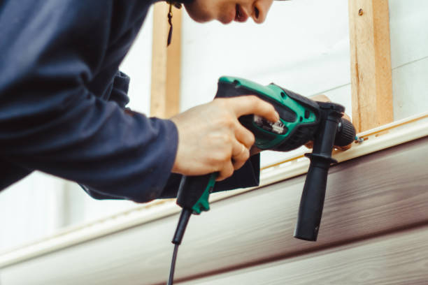 Best Fascia and Soffit Installation  in Cleora, OK
